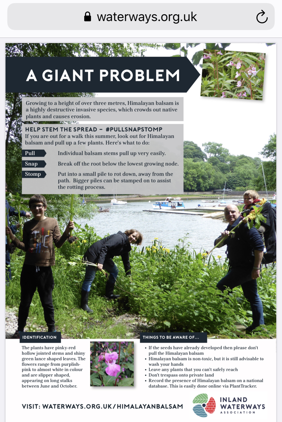 Waterways.org explain Balsam Bashing